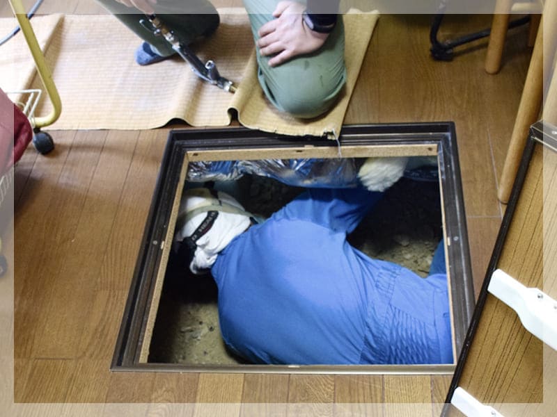 シロアリ駆除・害虫対策